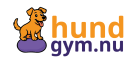 Gemenskap hundgym